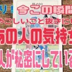 【タロット占い】気になるあの人の今この瞬間の本当の気持ち💕＆あの人が秘密にしていること🍀🤭【ドレミ⭐︎カードリーディング】あの人の秘密の想いを深掘りで覗き見してみました‼️