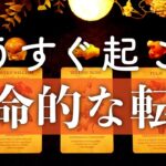 もうすぐあなたに訪れる運命的な転機🕊🌈✨タロット占い&オラクルカードリーディング🔮【運勢・恋愛・仕事・金運・出会い】