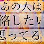 理由があるそうです。あの人は私に連絡したいと思っているの？本音を聞いてみました。苦しみを抱えるあなた様が少しでも眠れる夜を過ごせますように。#あんまろ掘りします。