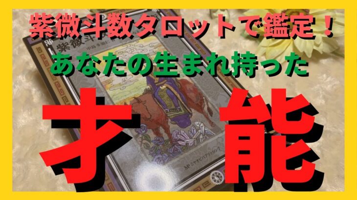 【占星術個人鑑定級に鑑定⭐️】あなたの才能💫今世生まれてきた魂の目的もお伝えします😌✨紫微斗数タロット カードリーディング