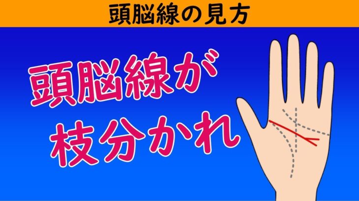 【手相占い】頭脳線が枝分かれ時の意味・見方