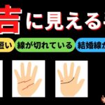 【手相占い】不吉に見える手相！生命線が短い、線が切れている、結婚線の枝分かれ