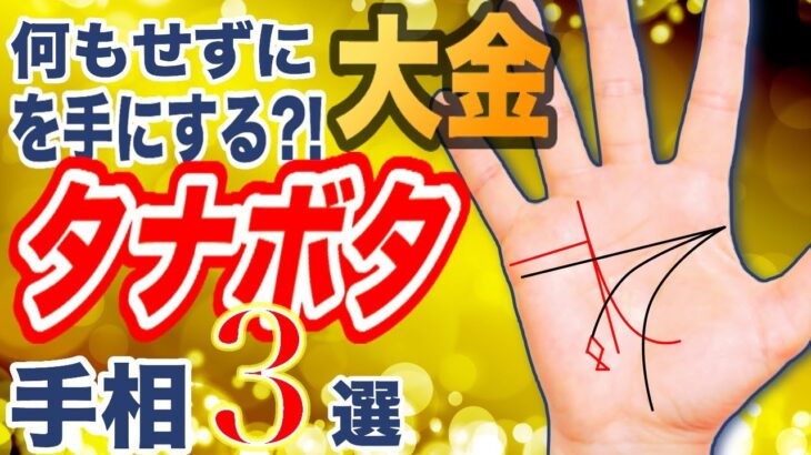 【手相】この線があるだけで人生勝ち組決定です！｜何もせずに大金を手に入れる手相3選