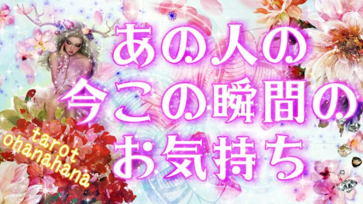 お相手のあなたへの気持ち💌🔮恋愛タロット占い 【今この瞬間のあの人のお気持ち3択💫✨】お相手の切ない願いをド直球暴露😳おはな🌸の心を癒すタロット占い