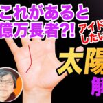 【手相】これがあると芸能関係で億万長者?!太陽線徹底解説！｜手相講座【手相アカデミー】