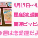 星座別1週間占い🔮今週の恋愛運🔯大アルカナで読み解いていきます🪴