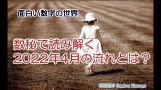 【数秘術】 「2022年4月の流れとは？」数秘で読み解く月サイクルの流れ【占い】