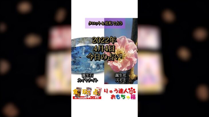 【今日の占い】2022年4月4日の占い【タロット＆花札】#short