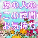 今この瞬間😳お相手のあなたへの気持ち💕恋愛タロット占い 【運命の3択💫✨】お相手の恥ずかしいお気持ち🔮おはな🌸の心を癒すタロット占い