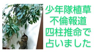 少年隊植草克秀不倫報道を四柱推命他で占いました