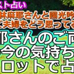 【リクエスト占い】縁切りの裏側!? 麻耶さんのご両親の娘夫婦に対するお気持ちを占ってみたら、意外な感情が視えました【彩星占術・タロット・九星気学】