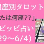 12星座別☪️今週のタロット占い💛開運ピッピ占い🔮5/29〜6/4