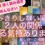 タロッ・ルノルマン占い✨ 忖度ナシ🙏🙇‍♀️🔸厳しい回答有ります　はっきりしない関係・あの人は2人の関係を進める気持ちがありますか？🔸ご視聴は自己責任でお願いします🙇‍♀️