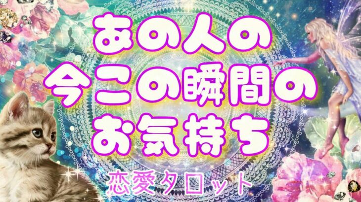 【おはな🌸の恋愛タロット3択🌈】あの人の今この瞬間の気持ち🔮💞お相手の本音と建前＆不器用すぎるメッセージが伝わりました🌟☀