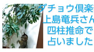 突然亡くなった上島竜平さんを四柱推命で占いました