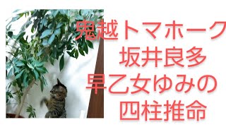 坂井良多♥️早乙女ゆみのを四柱推命他で占いました。相性と結婚の時期、相方との相性など