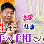 【手相】相性は相手の手相でわかる！恋愛/仕事『島田秀平のお開運巡り』