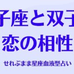 双子座と双子座の星座相性 せれぶまま星座血液型占い