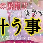 驚きの展開🫢❗️もうすぐ叶う事🌈✨🕊【個人鑑定級タロット占い🔮⚡️】