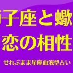 獅子座と蠍座の星座相性 せれぶまま星座血液型占い