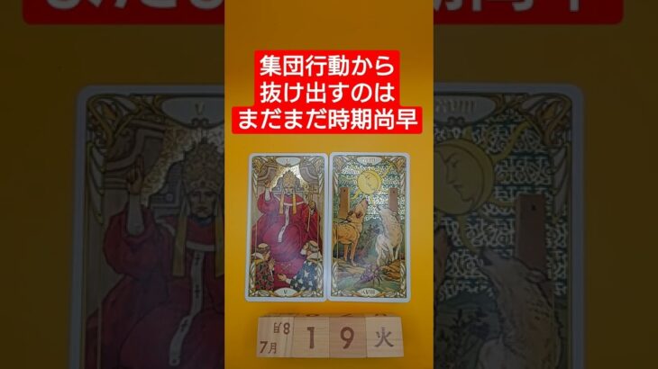 おみくじ的タロット占い「集団行動から離脱するのは、まだ時期尚早。」