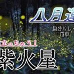 【九星気学】開運ひと言アドバイス🧚‍♀️💫九紫火星８月のバイオリズム