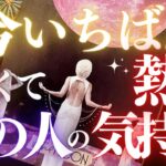 🦋恋愛タロット占い🌝今一番強くて熱いあの人の気持ち❤️満月にあの人はどう揺れた？✨これが必要な誰かへ💖あの人からのメッセージ付📨💕Timeless🔮VIBE CHECK(2022/8/12)