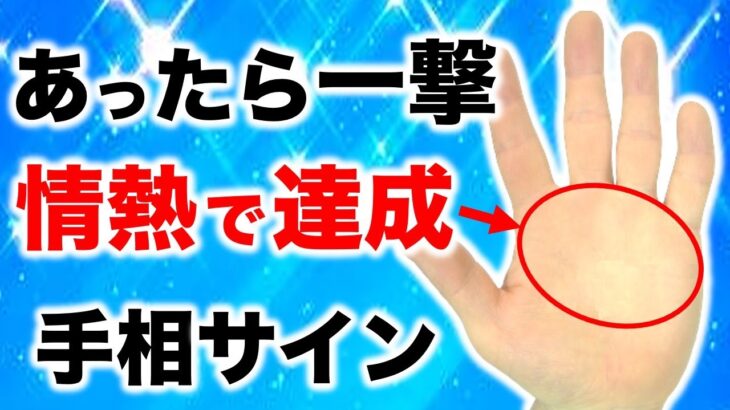 【手相】この手相の人は熱い気持ちで目標達成できる！