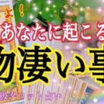 鳥肌ものです😳いよいよあなたに起こる物凄い事🎉🌈✨🕊個人鑑定級タロット占い🔮⚡️