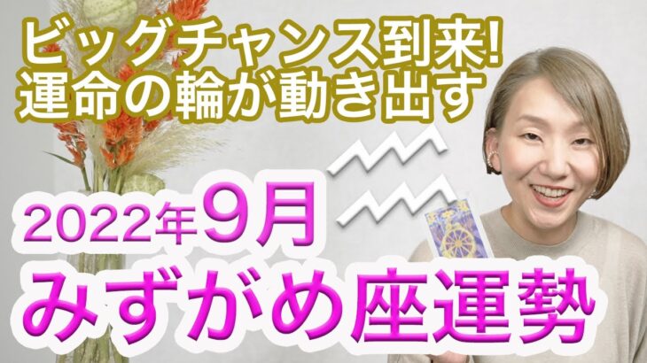 9月 みずがめ座の運勢 / ビッグチャンス到来！運命の輪が動き出す【トートタロット & 西洋占星学】