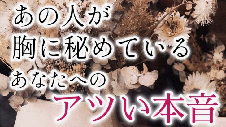 【一部微辛口あり🔥】深掘りタロットカードリーディング✨相手のあなたへの気持ちをルノルマンオラクルカードで個人鑑定級に見ました🪄🧚🏻‍♀️