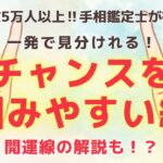 《有料級解説》チャンスを掴みやすい手相はコレ！開運の兆しはすぐそばにあるかも！？【手相鑑定】～質問返し～