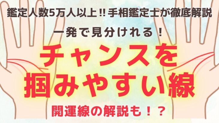 《有料級解説》チャンスを掴みやすい手相はコレ！開運の兆しはすぐそばにあるかも！？【手相鑑定】～質問返し～