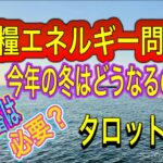 タロット占い🔶食糧エネルギー問題❗️11   月からの1年間リーディング‼️インフレ食糧備蓄