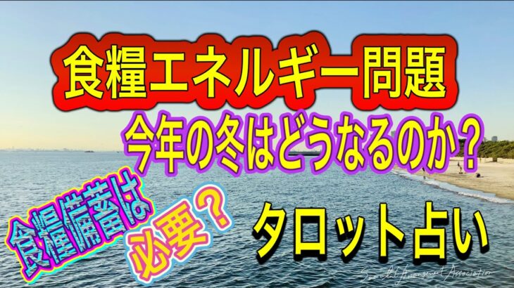 タロット占い🔶食糧エネルギー問題❗️11   月からの1年間リーディング‼️インフレ食糧備蓄