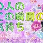 【おはな🌸の恋愛タロット3択🌈】あの人の今この瞬間の気持ちをシンプルに鑑定🔮💞お相手様からの秘めた緊急メッセージが伝わりました💘