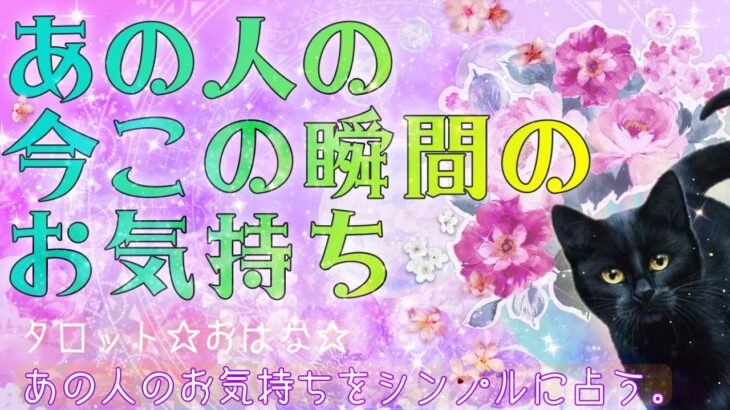 【おはな🌸の恋愛タロット3択🌈】あの人の今この瞬間の気持ちをシンプルに鑑定🔮💞お相手様からの秘めた緊急メッセージが伝わりました💘