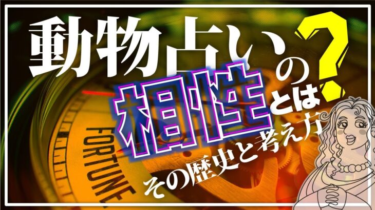 【解説】動物占いの相性とは？　#陰陽五行思想 #四柱推命 #十二運星