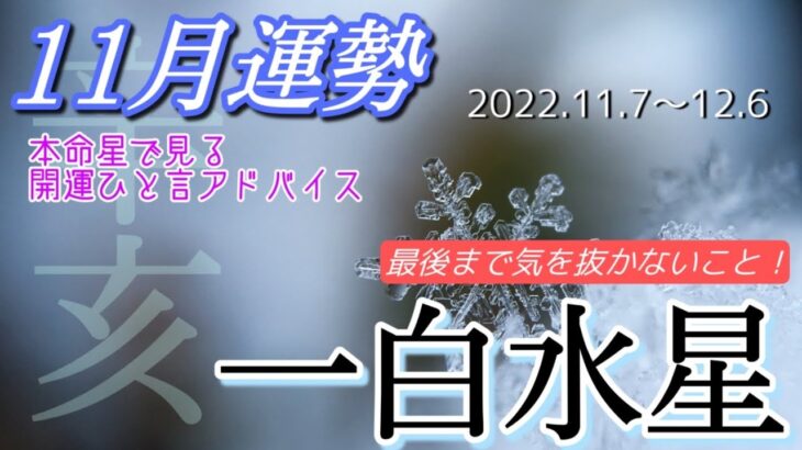 【九星気学】本命星で見る開運ひと言アドバイス🌈一白水星のバイオリズム🏄‍♂️