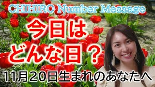 【数秘術】2022年11月20日の数字予報＆今日がお誕生日のあなたへ【占い】