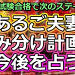 【リクエスト占い】産み分けスペシャリストをNYに派遣!? とあるご夫妻の妊活を占う【彩星占術】