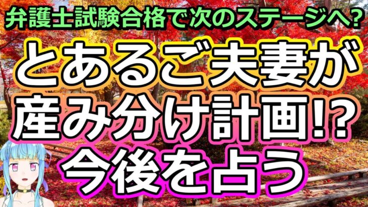 【リクエスト占い】産み分けスペシャリストをNYに派遣!? とあるご夫妻の妊活を占う【彩星占術】