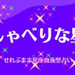 おしゃべりな星座　星座占いと血液型占いでわかる 性格とあの人との相性 せれぶまま星座血液型占い