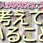 意外すぎる応えが出ました🏆【アゲなし&忖度なし】タロット恋愛占い🦋片思い複雑恋愛💫深堀りカードリーディング