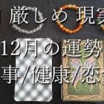 12月の運勢☯厳しめ・辛口・現実的・タロット占い