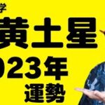 【五黄土星】2023年の運勢《九星気学🔮占い》