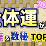 2023年 全体運の良い星座&数秘ランキングTOP3！【占い 西洋占星術 数秘術】