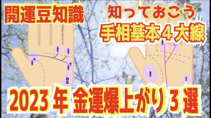 手相の基本4大線　2023年に金運がバク上がりな手相と幸運の引き寄せ