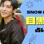 【目黒蓮】をやたら詳しく占う。５年後は？弱点は？夜の顔や恋愛について西洋占星術で占ってみた【SNOW MAN・スノーマン】ジャニーズ