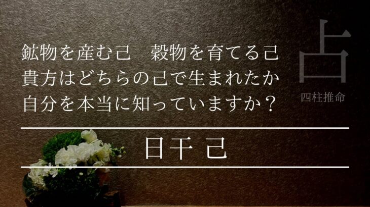 四柱推命 己は金を産むのか木を育てるか？どちらの人生の方が幸せになる？